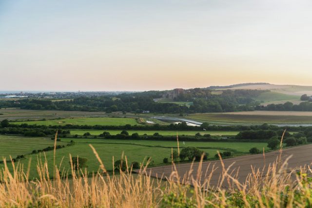 View of the south downs national park